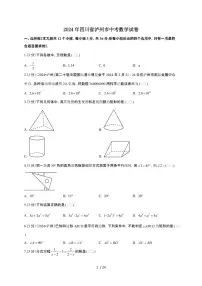 【中考】2024年四川省泸州市数学试卷（原卷+解析）