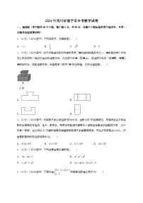 （中考）2024年四川省遂宁市数学试卷[原卷+解析]