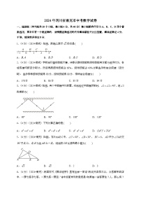 （中考）2024年四川省南充市数学试卷[原卷+解析]