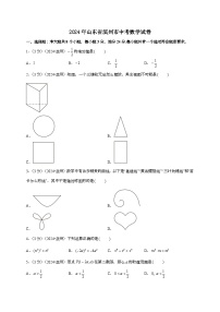 （中考）2024年山东省滨州市数学试卷[原卷+解析]
