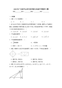 2025年广东省中山市大信学校九年级中考数学三模试题（附答案解析）