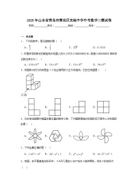 2025年山东省青岛市黄岛区实验中学中考数学三模试卷（附答案解析）