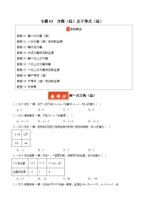 专题03 方程（组）及不等式（组）（全国通用）-2025年中考数学一模试题分类汇编