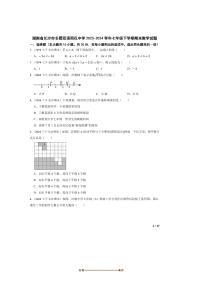 2023～2024学年湖南省长沙市长郡双语雨花中学七年级下期末数学试卷
