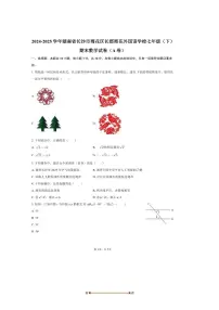 2024～2025学年湖南省长沙市雨花区长郡雨花外国语学校七年级(下)期末数学试卷(A卷)(无答案)