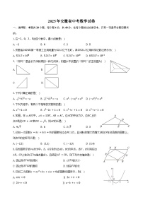 2025年安徽省中考数学试卷（含解析）