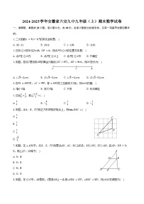 2024-2025学年安徽省六安九中九年级（上）期末数学试卷（含答案）