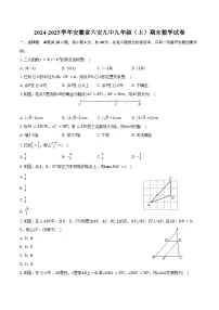 2024-2025学年安徽省六安九中九年级（上）期末数学试卷（含答案）