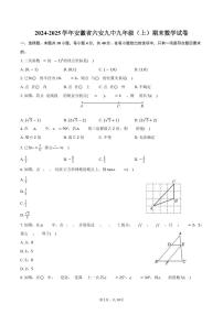 2024-2025学年安徽省六安九中九年级（上）期末数学试卷（含答案）