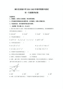 四川省巴中市南江县实验中学 2024-2025 学年七年级下学期 期中数学试题