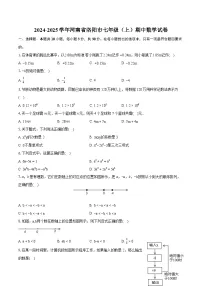 河南省洛阳市2024-2025学年七年级上学期期中考试数学试卷