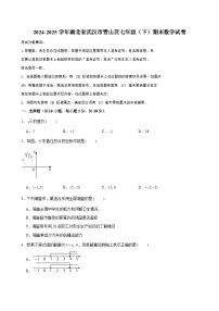 2024-2025学年湖北省武汉市青山区七年级（下）期末数学试卷 （含解析）