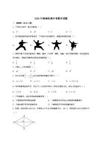 （中考）2025年湖南株洲数学试卷[原卷+答案]
