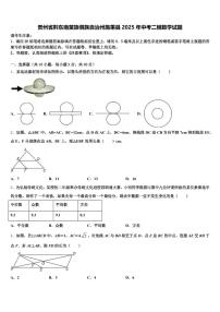 贵州省黔东南苗族侗族自治州施秉县2025年中考二模数学试题含解析