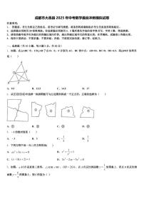 成都市大邑县2025年中考数学最后冲刺模拟试卷含解析