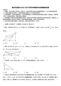丽水市龙泉市2024-2025学年中考数学对点突破模拟试卷含解析