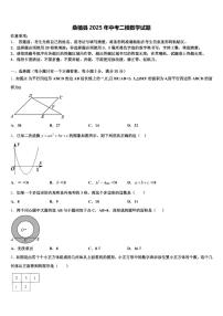 桑植县2025年中考二模数学试题含解析