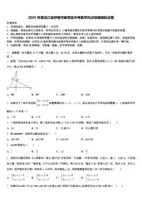 2025年黑龙江省伊春市新青区中考数学对点突破模拟试卷含解析