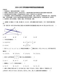 2024-2025学年漳县中考数学适应性模拟试题含解析