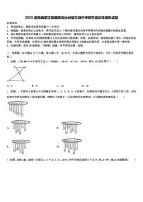 2025届海西蒙古族藏族自治州都兰县中考数学适应性模拟试题含解析
