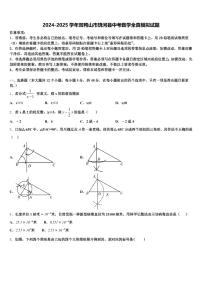 2024-2025学年双鸭山市饶河县中考数学全真模拟试题含解析