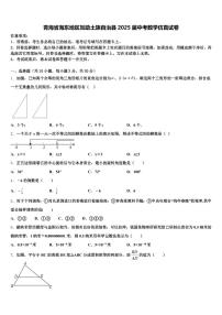 青海省海东地区互助土族自治县2025届中考数学仿真试卷含解析
