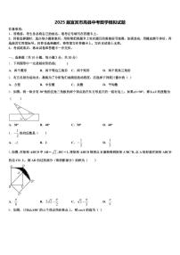 2025届宜宾市高县中考数学模拟试题含解析
