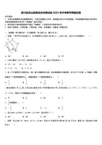 四川省凉山彝族自治州美姑县2025年中考数学押题试卷含解析