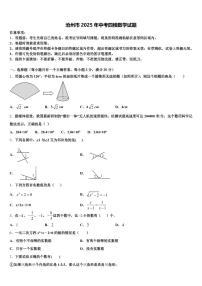 沧州市2025年中考四模数学试题含解析