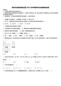 桂林市龙胜各族自治县2025年中考数学对点突破模拟试卷含解析