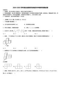 2024-2025学年湖北省黄冈市麻城市中考数学四模试卷含解析