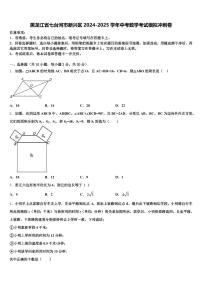 黑龙江省七台河市新兴区2024-2025学年中考数学考试模拟冲刺卷含解析