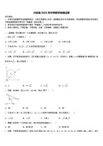 兴安县2025年中考数学四模试卷含解析
