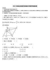 2025年湖北省孝感市孝南区中考数学四模试卷含解析