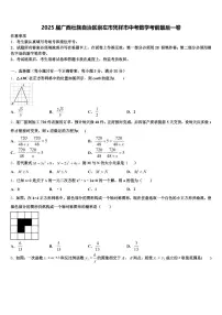 2025届广西壮族自治区崇左市凭祥市中考数学考前最后一卷含解析
