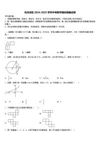 乌马河区2024-2025学年中考数学模拟精编试卷含解析