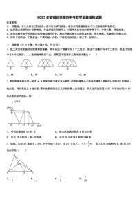 2025年安徽省阜阳市中考数学全真模拟试题含解析