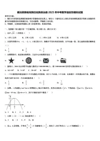 镇沅彝族哈尼族拉祜族自治县2025年中考数学适应性模拟试题含解析