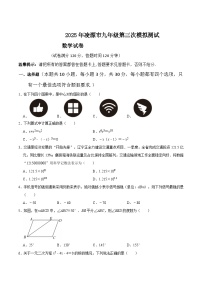 辽宁省朝阳市凌源市2025届九年级下学期中考三模数学试卷(含答案)