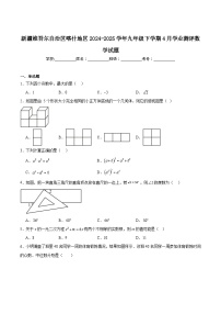 新疆维吾尔自治区喀什地区2025届九年级下学期4月学业测评数学试卷(含解析)