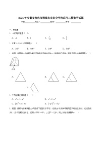 安徽省安庆市桐城市部分学校联考2025届九年级下学期中考三模数学试卷(含解析)