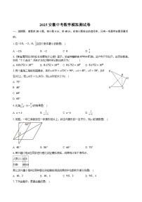 安徽省安庆市宿松县部分学校联考2025届九年级下学期中考三模数学试卷(含答案)