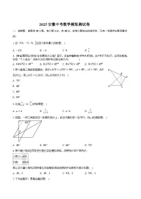 安徽省安庆市宿松县部分学校联考2025届九年级下学期中考三模数学试卷(含答案)