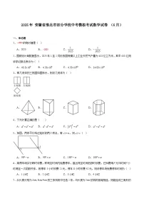 安徽省淮北市部分学校2025届九年级下学期6月中考模拟考试数学试卷(含解析)