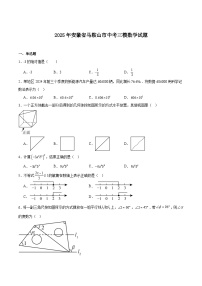 安徽省马鞍山市2025届九年级下学期中考三模数学试卷(含解析)
