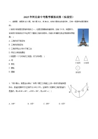河北省2025届九年级下学期中考模拟数学试卷(含解析)
