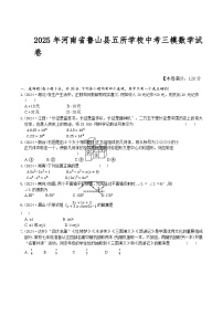 河南省平顶山市鲁山县五所学校2025届九年级下学期中考三模数学试卷(含答案)