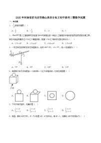 河南省驻马店市确山县部分私立初中联考2025届九年级下学期中考三模数学试卷(含解析)