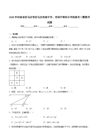 河南省驻马店市驻马店实验中学、市四中等部分学校联考2025届九年级下学期中考三模数学试卷(含解析)