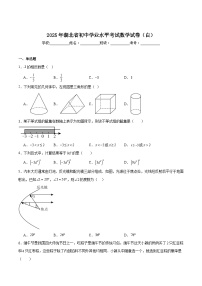 湖北省2025届初中学业水平考试数学试卷（白）(含解析)